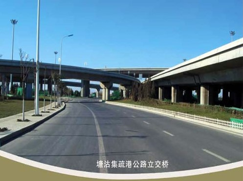 道真案例展示